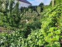 lebensmittel feld klein