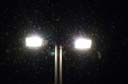 insekten-lampen-klein.jpg insekten-lampen-klein.jpg