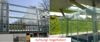 vogelfallen klein